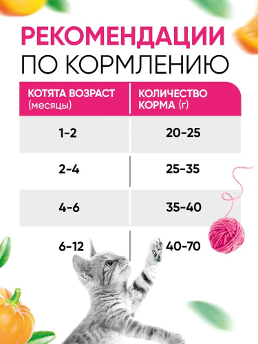 Сухой корм DELICANA для котят с чувствительным пищеварением с индейкой 0,4 кг 