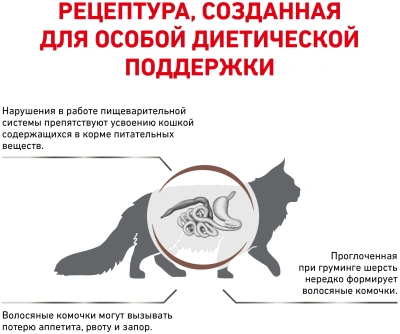 Сухой корм для кошек Royal Canin Gastrointestinal Hairball диетический корм для вывода шерсти 0,4 кг