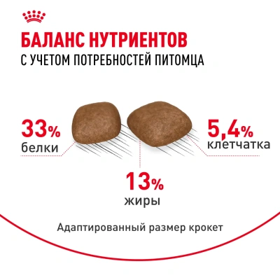 Royal Canin Urinary Care Корм сухой для взрослых кошек для профилактики мочекаменной болезни, 2 кг