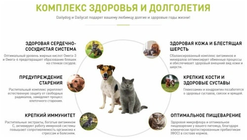 Сухой корм для котят Dailycat casual с индейкой и говядиной 1,5кг
