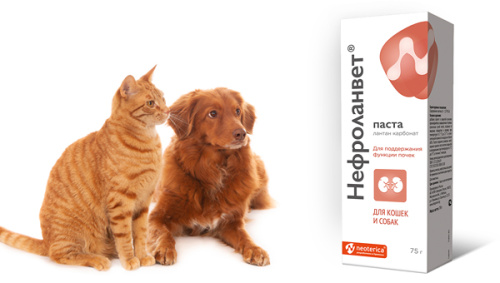 Нефроланвет паста 75мл