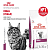 Сухой корм Royal Canin Renal для кошек, диетический, для поддержания функции почек - 350 г