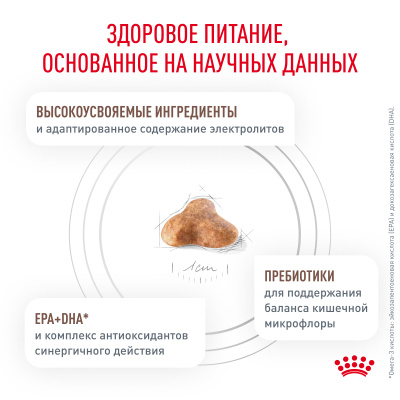 Royal Canin Gastro Intestinal Сухой корм для кошек с заболеваниями печени и ЖКТ острого и хронического характера, 400 г