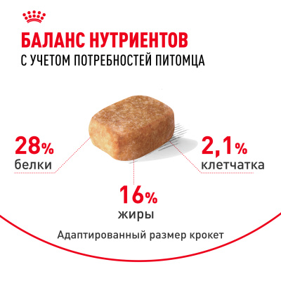 Royal Canin CHIHUAHUA ADULT Сухой корм для взрослых собак породы Чихуахуа, 500 г