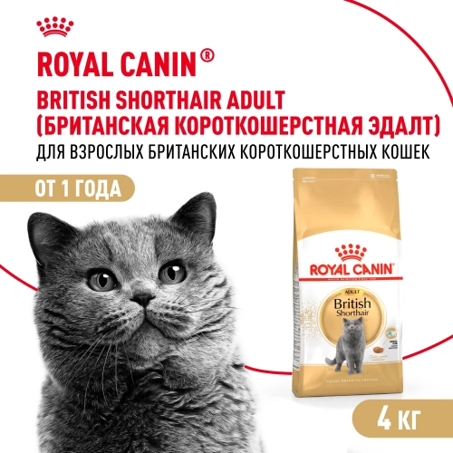 ROYAL CANIN British Shorthair Корм сухой для кошек породы Британская короткошерстная, 4 кг