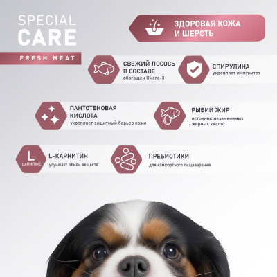 Сухой корм AWARD SPECIAL CARE Sensitive Skin&Coat для собак, для кожи и шерсти со свежим лососем 2кг