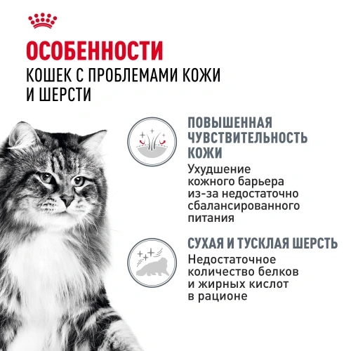 Royal Canin Intense Beauty Care Консервированный корм для кошек - красивая шерсть, соус, 85 г