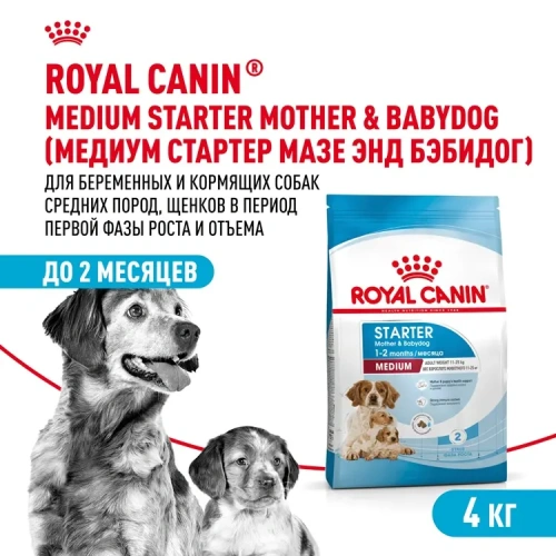 Сухой корм Royal Canin Medium Starter для щенков средних пород ,беременных и кормящих 4 кг