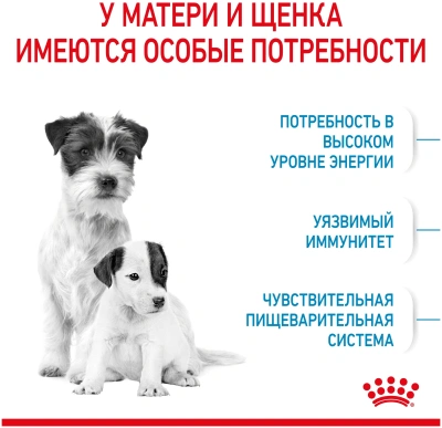 Сухой корм Royal Canin Mini Starter Mother & Babydog сухой корм для щенков мелких пород - 3 кг
