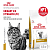 Royal Canin Urinary S/O Сухой корм для взрослых кошек при мочекаменной болезни, 1,5 кг