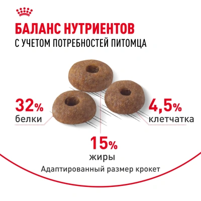Royal Canin Fit 32 Сухой корм для взрослых кошек с нормальной активностью, 400 г