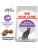 Royal Canin Sterilised 37 Сухой корм для стерилизованных кошек 1-7 лет, 10 кг
