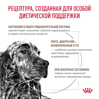 Сухой корм Royal Canin GASTROINTESTINAL для собак при нарушении пищеварения, 2 кг.