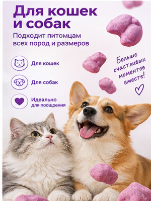 Лакомство для кошек и собак сублимированное «милые булочки» с курицей, 40 г Ranova