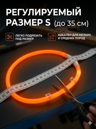 Светящийся ошейник FLASH LED, S, 1 x 35 см, оранжевый MPets