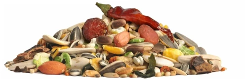 Корм RIO для крупных попугаев 500 гр