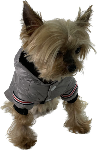 Спортивный водонепроницаемый теплый жилет для питомцев серый M