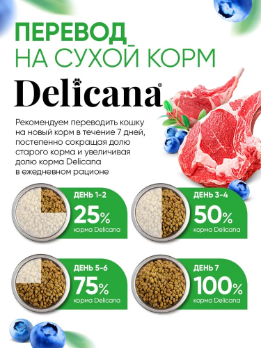 Сухой корм DELICANA  для стерилизованных кошек и кастрированных котов с ягненком 0,4 кг