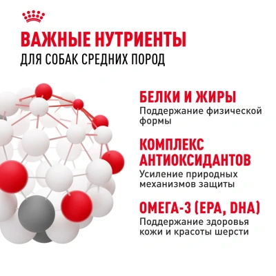 Royal Canin Medium Adult Корм сухой для взрослых собак средних пород с 12 месяцев до 7 лет, 15 кг