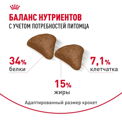 Сухой корм Royal Canin Hairball Care для кошек, для профилактики образования волосяных комочков,400г