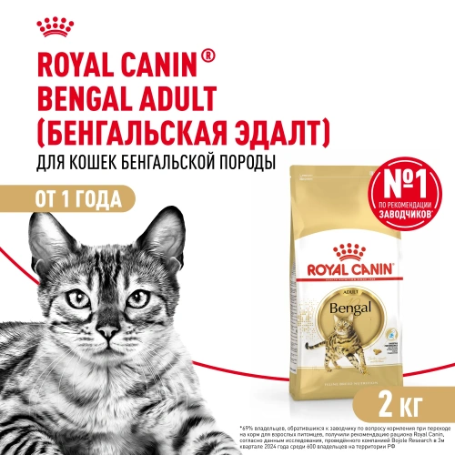 Сухой корм Royal Canin Bengal Adult для взрослых кошек бенгальской породы (Бенгал эдалт) 2 кг