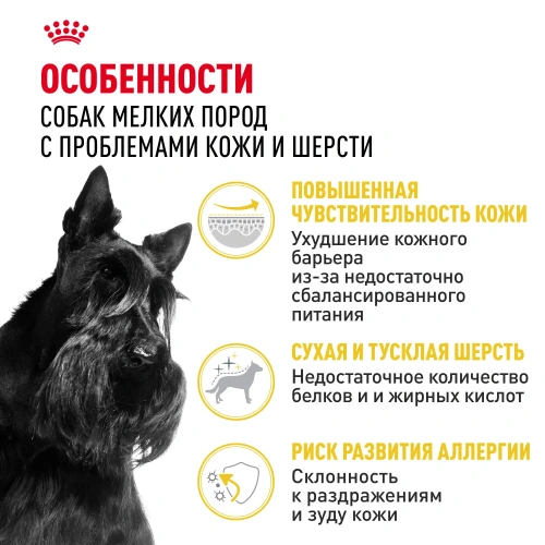 Royal Canin Mini Dermacomfort Сухой корм для собак, 1 кг