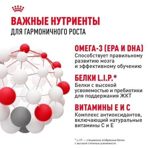 Сухой корм Royal Canin Maxi Puppy для щенков крупных пород  с курицей, 3 кг