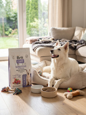 Сухой корм Брит Care Dog Adult Sensitive Healthy Digestion, для собак Индейка и Ягненок, 3кг