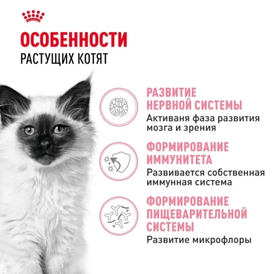Сухой корм Royal Canin для котят 1,2 кг