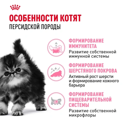 ROYAL CANIN Persian Корм сухой для кошек породы Персидская, 400 г