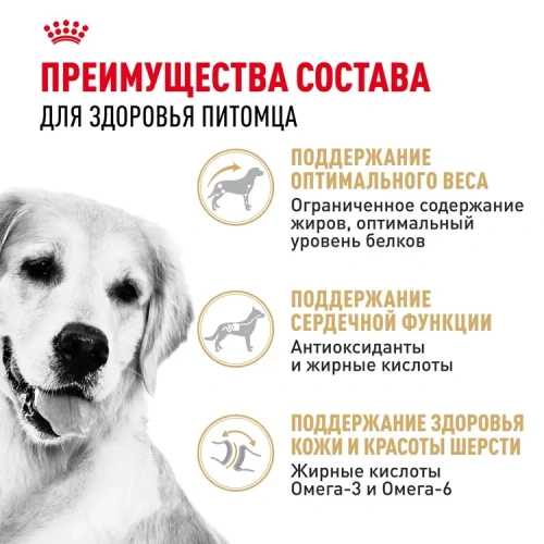 Сухой корм Royal Canin для взрослых собак породы Лабрадор ретривер 3 кг