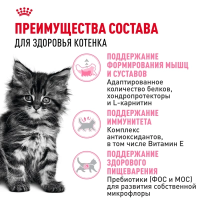 ROYAL CANIN Maine Coon Корм сухой для котят породы Мейн-Кун, 4 кг