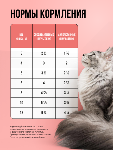 Влажный корм BOWL WOW для стерилизованных кошек с телятиной и овощами, кусочки в соусе 12х85 г 