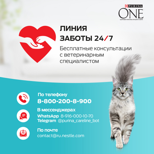 Сухой корм Purina ONE для стерилизованных кошек и котов, с высоким содержанием лосося, 750 г