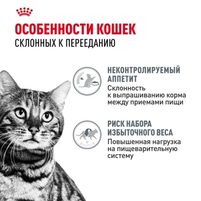 Влажный корм Royal Canin Appetite Control Care для кошек, контроль выпрашивания корма в соусе, 85гр