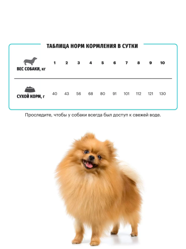 Сухой корм Karmy для собак мелких пород, склонных к пищевой аллергии Ягненок 10кг