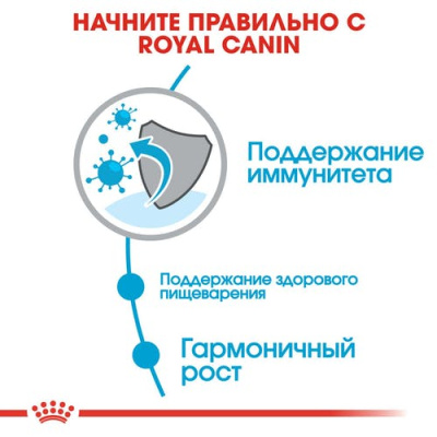 Royal Сanin Mini Puppy Корм сухой для щенков мелких пород, 2 кг