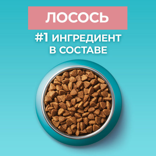 Сухой корм Purina ONE для стерилизованных кошек и котов, с высоким содержанием лосося, 750 г