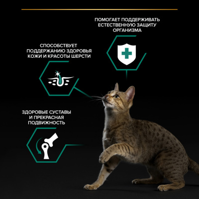 Влажный корм PRO PLAN для кошек  Курица в соусе  85г