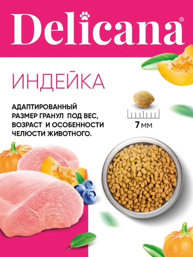 Сухой корм DELICANA для котят с чувствительным пищеварением с индейкой 0,4 кг 