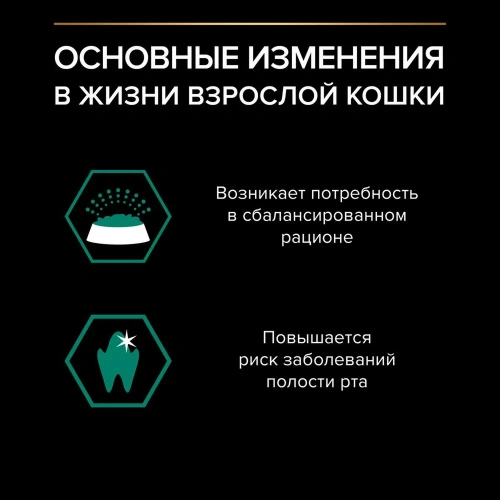 Влажный корм PRO PLAN для кошек  Курица в соусе  26x85г