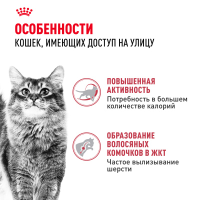Royal Canin Fit 32 Сухой корм для взрослых кошек с нормальной активностью, 2 кг