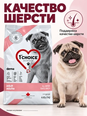 Сухой корм для собак с гиперчувствительной кожей GF DERMA, Лосось 2 кг 1st CHOICE