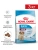 Сухой корм Royal Canin Medium PUPPY для щенков средних пород, 3кг
