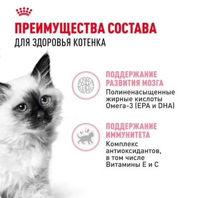 Royal Canin Kitten Консервированный корм для котят, кусочки в желе, 85 г
