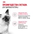 Royal Canin Kitten Консервированный корм для котят, кусочки в желе, 85 г