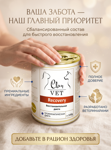 Влажный ветеринарный корм CLAN VET RECOVERY для собак и кошек, восстановительная диета 340г