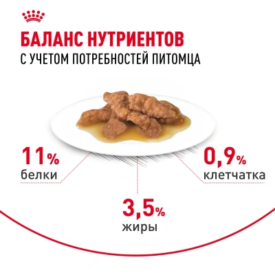 Влажный корм для кошек Royal Canin Indoor Sterilised кусочки в соусе, 85 г