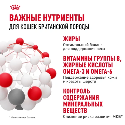 Royal Canin British Shorthair Консервированный корм для взрослых кошек породы Британская короткошерстная, 85 г