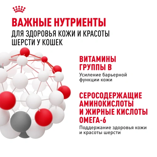 Royal Canin Intense Beauty Care Консервированный корм для кошек - красивая шерсть, соус, 85 г